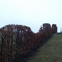 2009_ruhr 041